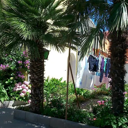 Apartman Lotus *